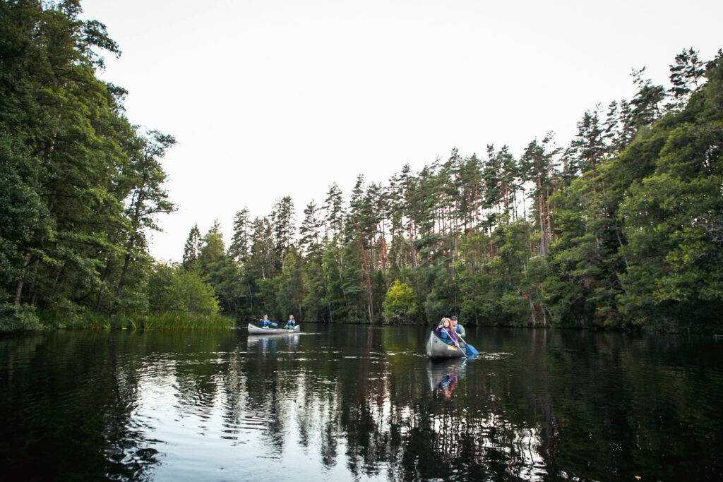 20240811210536 img 8380