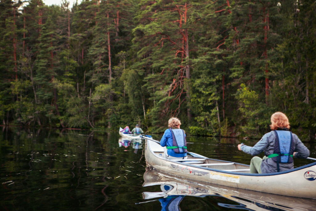 20240811214526 img 8409