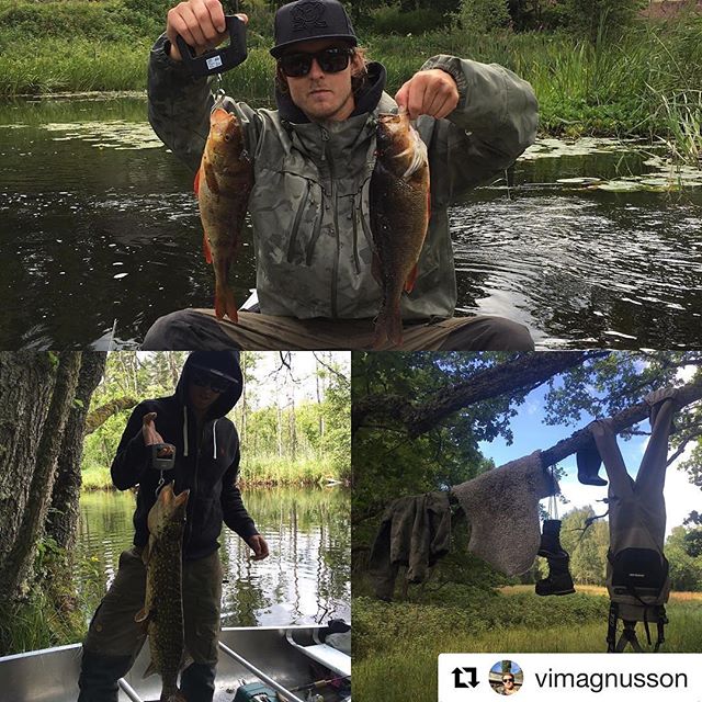 Don't forget to bring your fishing-gears when you're visiting us
#Repost @vimagnusson with @repostapp
・・・
Kyrkekvarn levererar sjukt bra fiske #kyrkekvarn #paddla #kanot #fishing #pike #perch #gädda #abborre #tidan