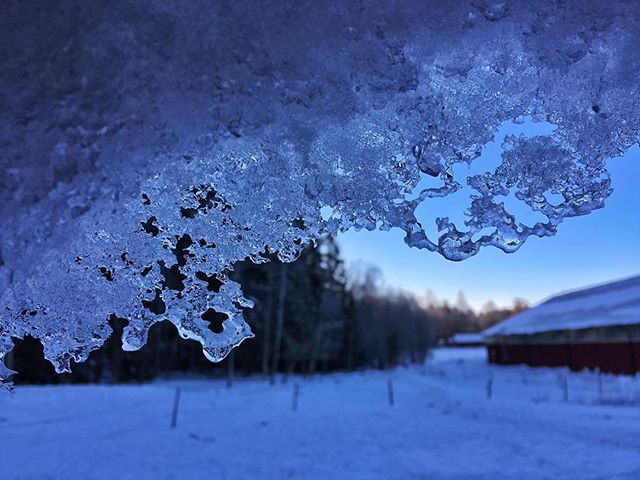 A frozen view from our stable. #dod_faroffview #skyporn #ig_week #ig_sweden #cafe #stuga #ig_masterpiece #ig_week_nature #bestofscandinavia #cabins #january #nature_perfection #clouds #iphone6 #iphonephotography #rsa_nature #rising_perfection #sweden #deutschland #germany #urlaub #familienurlaub #nature_perfection #seasonalpic #colors #holiday #wu_europe #winter #kyrkekvarn