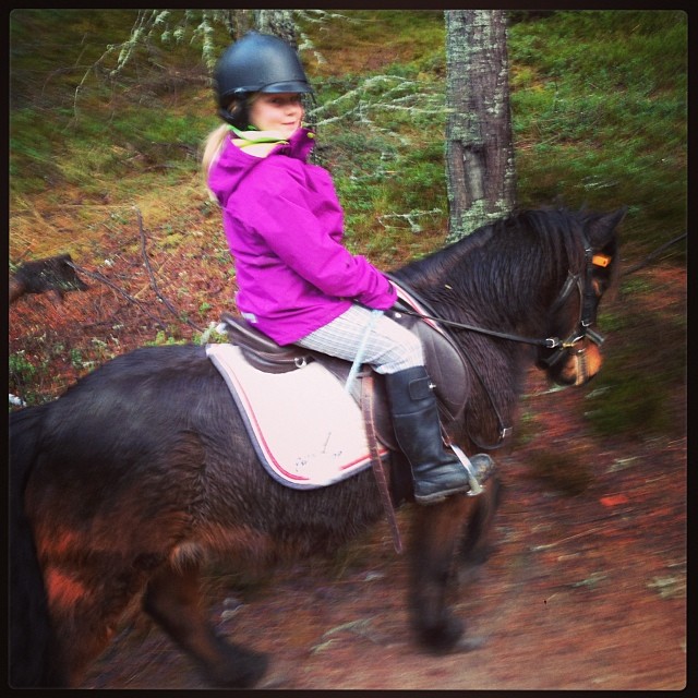 Bästa sällskapet ️ #horse #kyrkekvarn #child #lovely #horselover