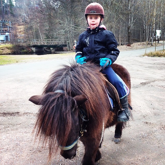 Framtida stjärnskottet  #kid #kyrkekvarn #horse #ponny #riding #horselover #island #islandinghorse