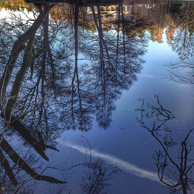 Mindtwist ;) Try to flip the phone and you'll see it will work too. This is how it's supposed to be however. [reflections water] #igdaily #ig_weekly #ig_nature #ic_nature #nature #naturelover #nature_perfection #water #reflections #mirror #patina_perfection #photooftheday #scandinavianphoto #wu_sweden #kyrkekvarn #loves_sweden #bestofscandinavia #house #instagram_i_sverige #bestofscandinavia #ig_bestshot #master_shots #webstagram