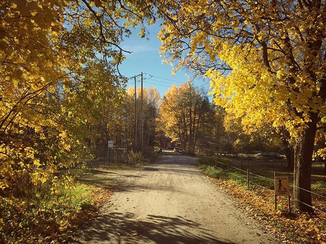 One of those roads, part V. #dod_faroffview #gogreen #ig_week #ig_sweden #igworldquest #igscandinavia #ig_masterpiece #ig_week_nature #bestofscandinavia #jj_nature #nature #nature_perfection #autumn #iphone6 #iphonephotography #rsa_nature #rising_perfection #skog #sweden #sverige #scandinavianphoto #hejjönköping #sunset #seasonalpic #colors #petal_perfection #kyrkekvarn #landscape #naturelovers #sweden #wu_europe