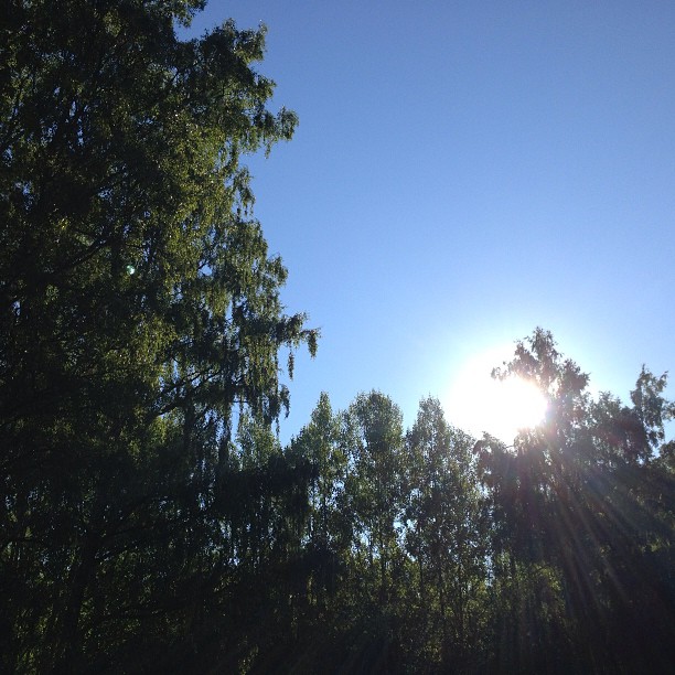 The rising sun. #sun #morning #morninglight #dawn #sunshine #sweden #sandhem #kyrkekvarn #landscape #ig_landscape #ic_landscape #ig_nature #ic_nature #nature #sky #instanature #instahub #instadaily #iphoneonly
