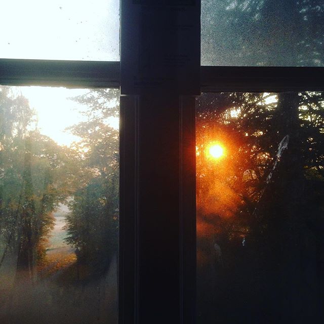 When the days are cold and the cards all fold. And the saints we see are all made of gold. @imaginedragons #sverige #sweden #sunrise #sol #gul #sörgården #kyrkekvarn #fönster #window #landscape #sonnenaufgang #schweden #längtan #idontwannaleave