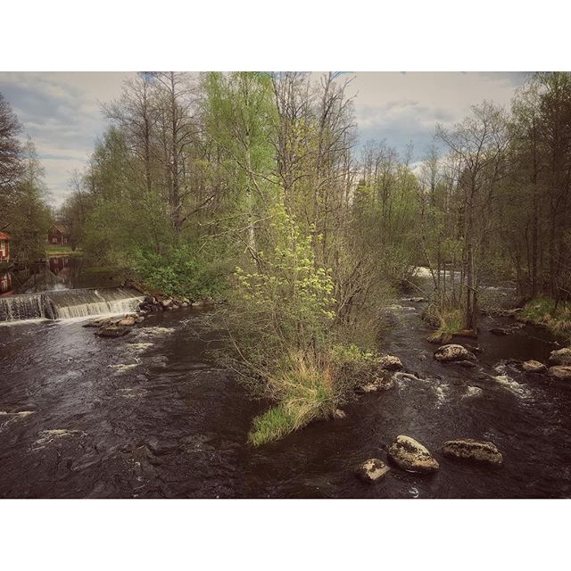 And today we pay a visit to Madängsholm and the waterpowerplant-station which river Tidan passes on it's way north... #dod_faroffview #gogreen #ig_week #ig_sweden #igworldquest #igscandinavia #ig_masterpiece #ig_week_nature #bestofscandinavia #jj_nature #nature #nature_perfection #river #water #kraftverk #rsa_nature #rising_perfection #skog #sweden #sverige #kanuurlaub #kanufahren #spring #seasonalpic #kanotur #outdoorexperience #skaraborg #landscape #kyrkekvarn
