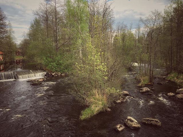 And today we pay a visit to Madängsholm and the waterpowerplant-station which river Tidan passes on it's way north... #dod_faroffview #gogreen #ig_week #ig_sweden #igworldquest #igscandinavia #ig_masterpiece #ig_week_nature #bestofscandinavia #jj_nature #nature #nature_perfection #river #water #kraftverk #rsa_nature #rising_perfection #skog #sweden #sverige #kanuurlaub #kanufahren #spring #seasonalpic #kanotur #outdoorexperience #skaraborg #landscape #kyrkekvarn