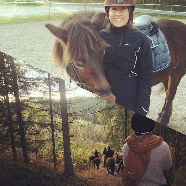 Bästa dagen med bästa kollegorna  #veromodaa6 #ridinghorses #sweden #autumn #kyrkekvarn