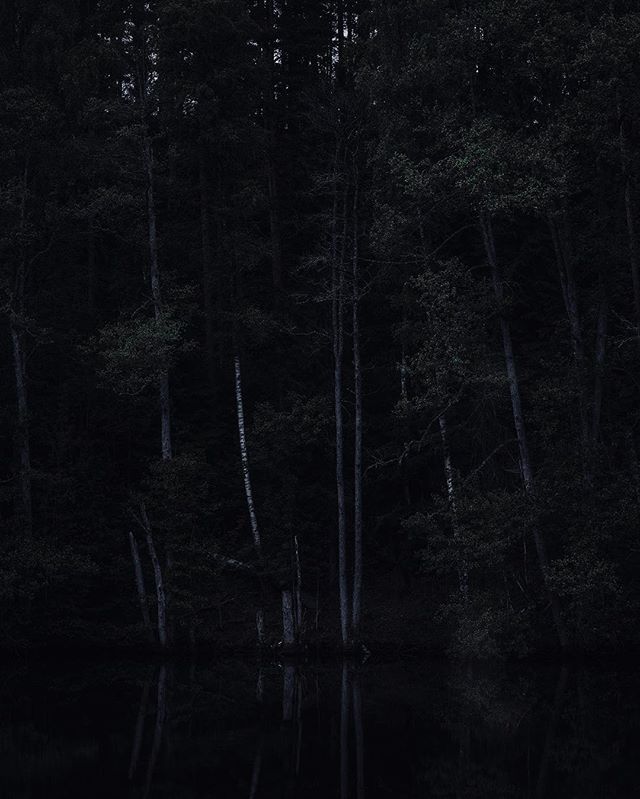 Dark forests of Sweden. Photographed at 10PM by the river Tidan. #sweden #sverige #kyrkekvarn #småland #västergötland #forest #skog #tidan #rivertidan #hasselblad #hasselbladx1d @hasselblad_official
