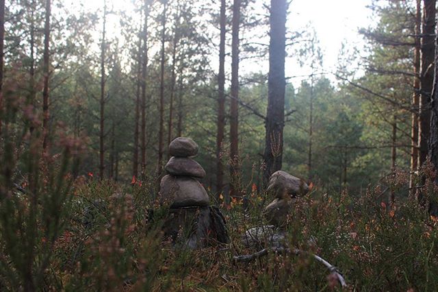 Dieses Bild wurde von @dennis_koepke  geschossen :D Schaut mal bei ihm vorbei wär echt nett!
#Schweden #Pfadfinder #kyrkekvarn #wandern #hökensås #Steine #Wald #Bäume #Natur