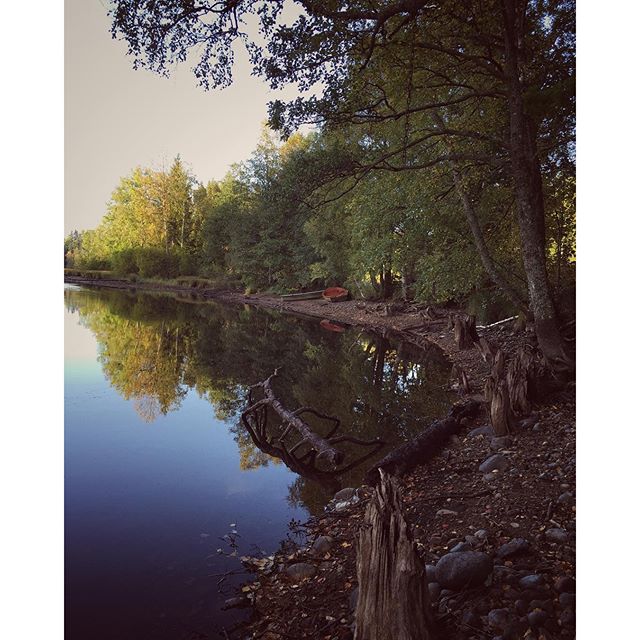 #dod_faroffview #gogreen #ig_week #ig_sweden #igworldquest #igscandinavia #ig_masterpiece #ig_week_nature #bestofscandinavia #jj_nature #nature #nature_perfection #water #iphone6 #iphonephotography #rsa_nature #rising_perfection #skog #sweden #sverige #scandinavianphoto #flowers #sunset #seasonalpic #colors #petal_perfection #skaraborg #landscape #kyrkekvarn #sweden #wu_europe