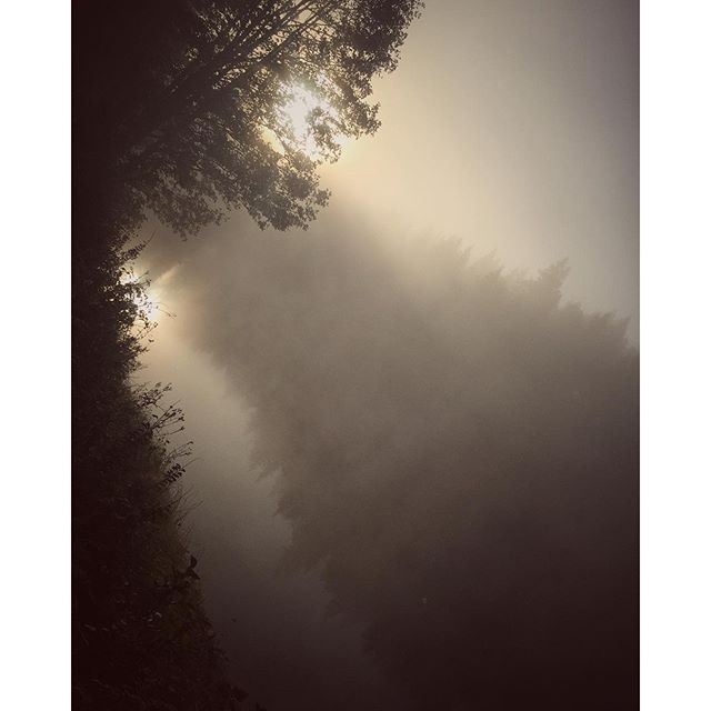 #dod_faroffview #gogreen #ig_week #ig_sweden #igworldquest #igscandinavia #ig_masterpiece #ig_week_nature #bestofscandinavia #jj_nature #nature #nature_perfection #water #iphone6 #iphonephotography #rsa_nature #rising_perfection #skog #sweden #sverige #scandinavianphoto #gloomgrabber #seasonalpic #colors #petal_perfection #skaraborg #landscape #kyrkekvarn #sweden #wu_europe #ig_dungeon