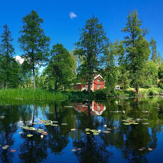 Ein herrliches Fleckchen Erde hier in der Nähe von Mullsjö. Dieses Bild entstand bei unserem gestrigen Kanutrip ‍♀️ Einen schönen Mittwoch wünsch ich euch ️
.
#schwedenferien #kyrkekvarn #mullsjö #kanutrip #typischschwedisch #schwedenhaus #ferienmitkindern #camperurlaub