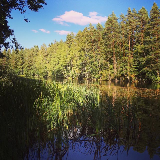 Enjoy the silence ️ #schweden #kyrkekvarn #tidan #vacation #naturpur #collectmoments #schwedenliebe #goodtimes #rausundmachen #kanutour #wanderlust #freiheit #naturelovers #natur