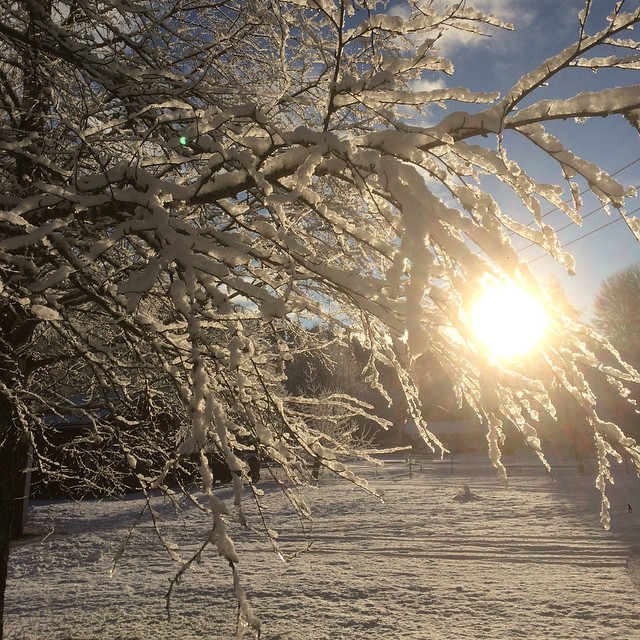 Enjoy winter! 
#winter #vinter #sun #sky #skyporn #sky_perfection #rising_perfection #scandinavianphoto #december #kyrkekvarn #christmastime #jul #nature #nature_perfection #ic_nature #photooftheday #ig_daily #picoftheday #objects_and_landscape