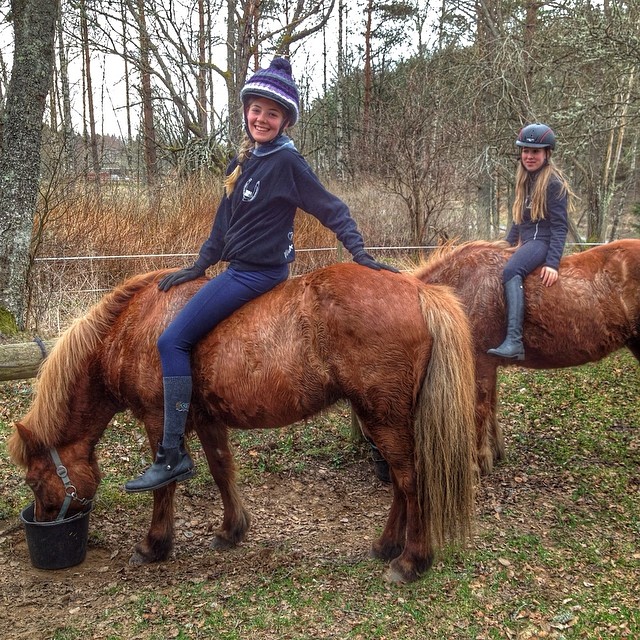 Enjoy your holiday @kyrkekvarn, and go for some horsebackriding at our icelandichorses.
#kyrkekvarn #horses #horseriding #hästar #horsebackriding #horses_of_instagram #islandshästar #icelandichorses #instagood #instamood #instaholiday #holiday #vacation #sweden #sverige #lovehorses #hästochstuga