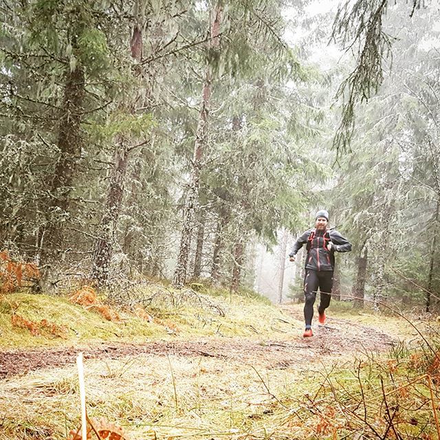 Exploring the beautiful trails and forests of Kyrkekvarn! 

#trailrunning 
#kyrkekvarn 
#forestrunning