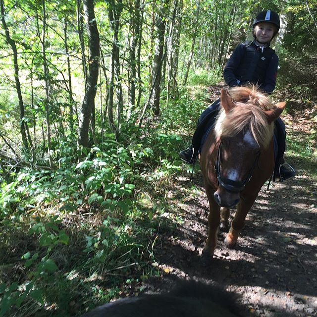 Idag har vi packat sadelväskan med matsäck och morötter och gett oss ut på en härlig långritt i höstskogen. #kyrkekvarn  #hästärbäst