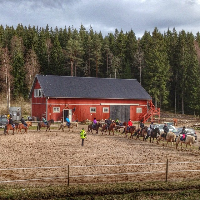 Just another group heading out for a ride on our lovely icelandichorses. Here is before start where our staff tells how it's working out and more. 
#kyrkekvarn #riding #rida #islandshästar #icelandichorses #turridning #hästar #horses #horsebackriding #horseriding #horses_of_instagram #upplevelse #skog #natur #tidan #vackert #instagood #instamood #igdaily #sweden #sverige #photooftheday