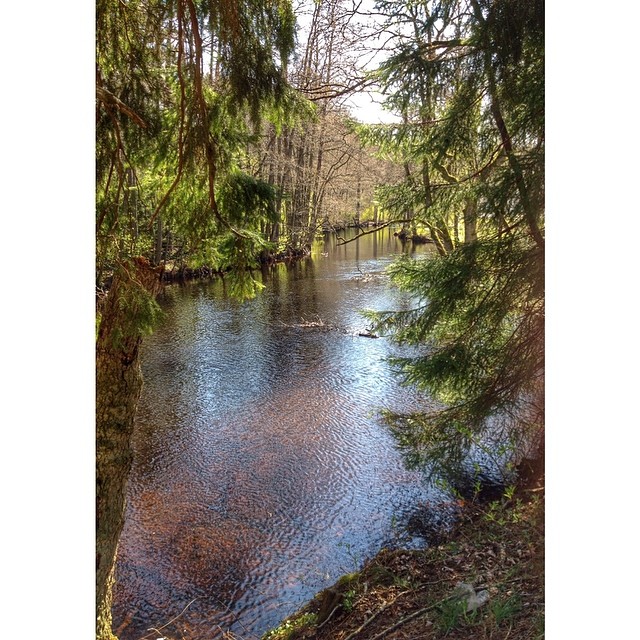#landscape_perfection #landscape #nature_featuring #nature_perfection #nature #rising_perfection #rsa_nature #royalsnappingartists #kyrkekvarn #tidan #river #sweden #instagram_i_sverige #enjoysweden #bestofscandinavia #loves_sweden #vår #spring
