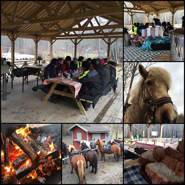 Långritt, med paus för värmande lunch och gott fika, idag på Kyrkekvarn. 
#kyrkekvarn #horses #horseriding #hästar #horsebackriding #horses_of_instagram #islandshästar #icelandichorses #instagood #instamood #instaholiday #holiday #vacation #sweden #sverige #lovehorses #riding #canoeing #outdoor #familien #activities #familjeaktiviteter #winter #paddla #friluftsliv #urlaub #schweden #february #seasonalpic #instamoment