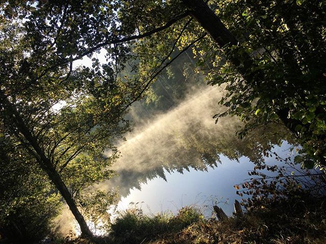 Magic morning today. 
#dod_faroffview #discoversweden #ig_week #ig_sweden #igworldquest #summer #ig_masterpiece #ig_week_nature #bestofscandinavia #jj_nature  #nature_perfection #sweden #iphone6s #iphonephotography #rsa_nature #rising_perfection #autumn #seesweden #scandinavianphoto #skyporn #tree_captures #petal_perfection #wu_europe #kyrkekvarn #water #depthoffield #landscape #landscape_lovers #field #sweden
