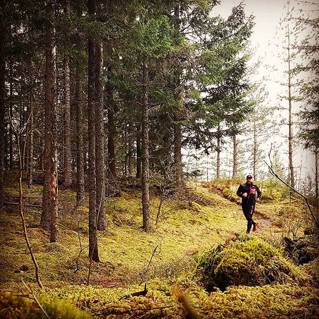 Runon testar stigarna runt Kyrkekvarn, de bjuder upp till fantastisk traillöpning!

#kyrkekvarn
#traillöpning 
#trailrunning 
#mullsjö