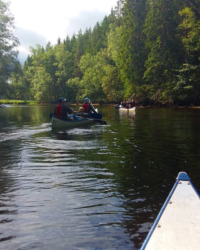 Spent my day in a canoe! 
#stråken #paddlakanot #canoeing #beautiful #nature #naturelovers #kyrkekvarn