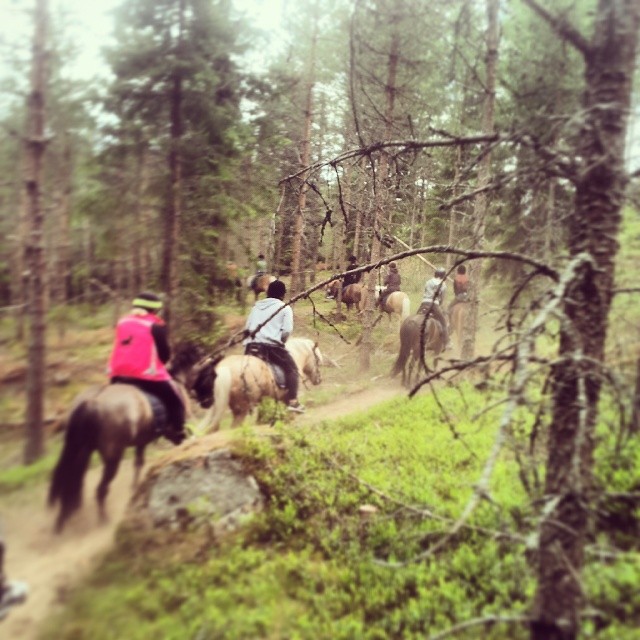 #Teambuilding with Paradox South at #kyrkekvarn riding Icelandic horses