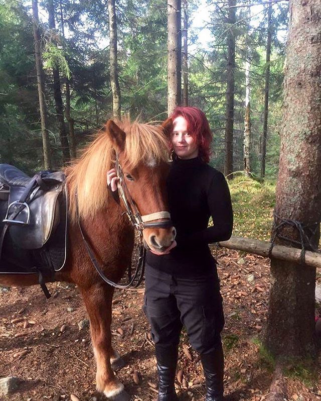 This is Hördur, my companion for today  I must say it's an very special feeling riding on an Islandic in deep swedish forests. Ever seen Ronja the robbers daughter? Look it up! #kyrkekvarnsislandshästar #kyrkekvarn #islandshäst #islandichorse #redhead #horse #magicalforest #amazing