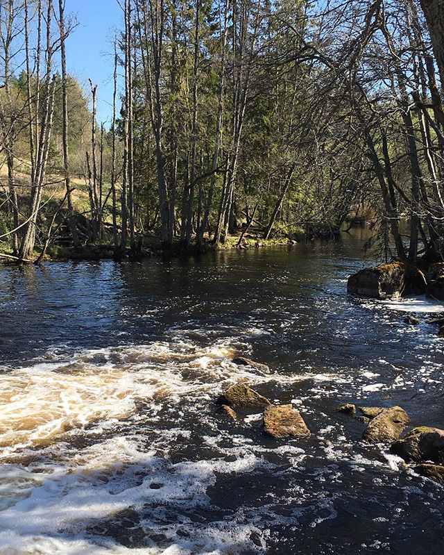 This is the view that will reach you, at the second waterpowerplant-station, called Hallaströmmen, if you are canoeing at river Tidan. 
#dod_faroffview #gogreen #ig_week #ig_sweden #igworldquest #igscandinavia #ig_masterpiece #ig_week_nature #bestofscandinavia #jj_nature #nature #nature_perfection #river #water #kraftverk #rsa_nature #rising_perfection #skog #sweden #sverige #kanuurlaub #kanufahren #spring #seasonalpic #kanotur #outdoorexperience #skaraborg #landscape #kyrkekvarn