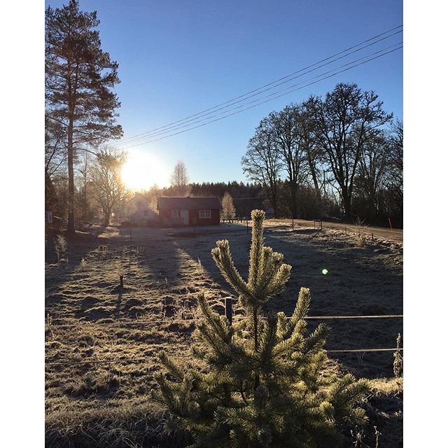 Trevlig lucia och 3:e advent önskar vi på Kyrkekvarn.

#dod_faroffview #skyporn #ig_week #ig_sweden #igworldquest #stuga #ig_masterpiece #ig_week_nature #bestofscandinavia #cabins #december  #nature_perfection #clouds #iphone6 #iphonephotography #rsa_nature #rising_perfection #sweden #deutschland #germany #urlaub #familienurlaub #nature_perfection #seasonalpic #colors #holiday #wu_europe #winter #nofilter #kyrkekvarn