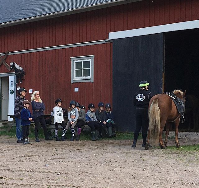 Turridningen börjar alltid med att personalen går igenom och informerar kring turen och vad man ska tänka på när man sitter på hästryggen. 
#horse #horses #icelandichorses #islandshästar #kyrkekvarn #turridning #instahorse #icelandichorsesofinstagram #kyrkekvarnislandshästar #urlaub #vacation #aktivitet #outdooradventures #gooutside #visitsmaland #visitsweden