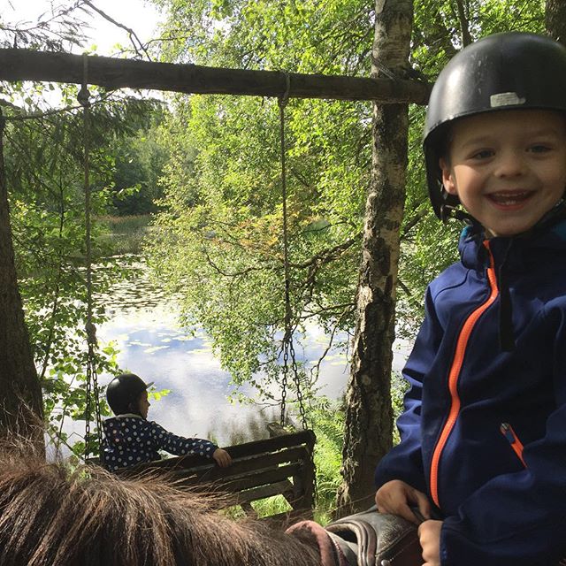 Wandelen met een pony en dan onderweg allemaal leuke schommels tegen komen. Genieten met de kids bij Kyrkekvarn in Smaland ^Saskia 
#sweden #zweden #swedishmoments #smaland #kyrkekvarn @visitsweden_ned #visitsweden #ifsweden #horseriding #horse #kidseropuit #natuur #nature #travel #vakantie #familytravel #travelwithkids #reizenmetkinderen @kyrkekvarn