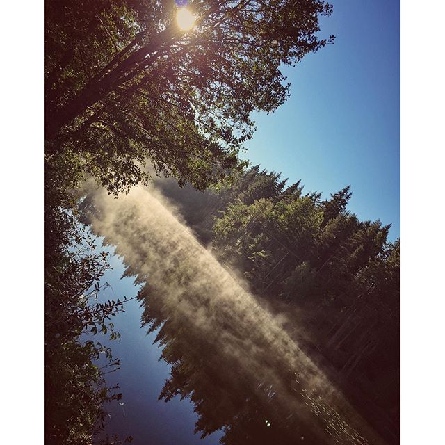 When autumn arrives you can see the angels dancing on river Tidan. 
#dod_faroffview #gogreen #ig_week #ig_sweden #igworldquest #igscandinavia #ig_masterpiece #ig_week_nature #bestofscandinavia #jj_nature #nature #nature_perfection #nofilter #iphone6 #iphonephotography #rsa_nature #rising_perfection #skog #sweden #sverige #scandinavianphoto #flowers #sommar #seasonalpic #colors #petal_perfection #skaraborg #landscape #kyrkekvarn